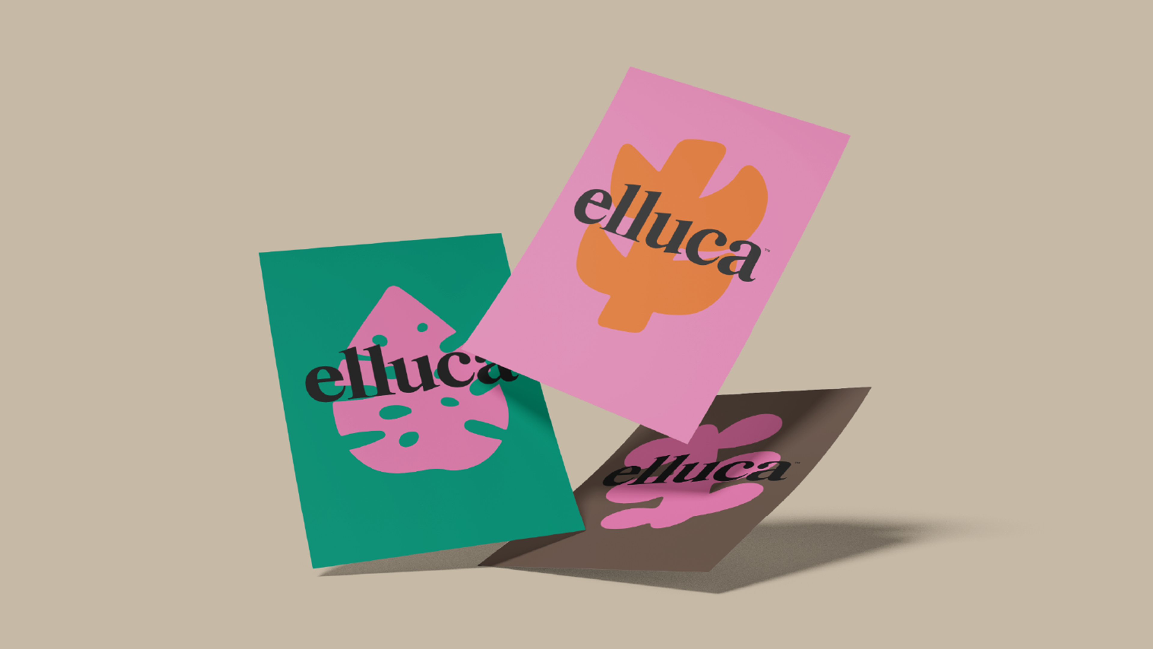 Elluca Salon Branding Ollie London